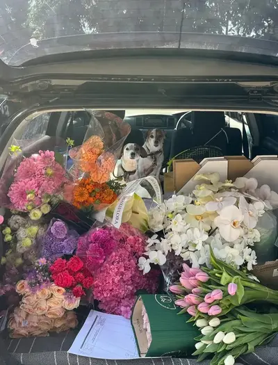FLOWER PUFF GIRL Business